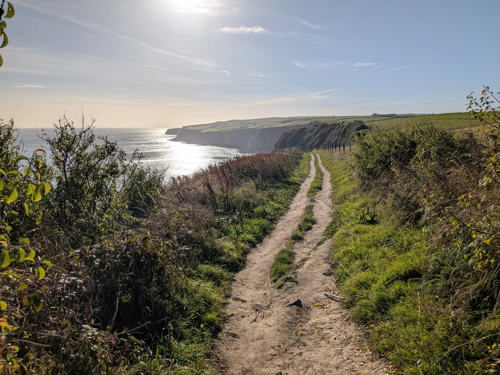 A footpath winding along the Yorkshire coastline towards the sea