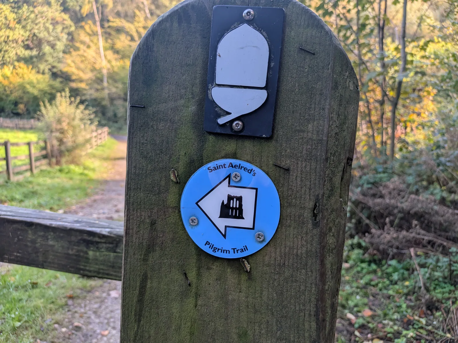 A waymarker post showing the Saint Aelred's Pilgrim Trail arrow